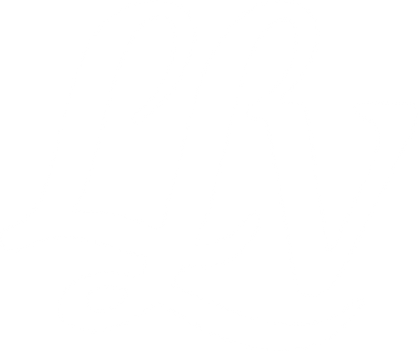 Living La Vidita